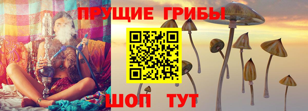 Канаш  Псилоцибиновые грибы MAGIC MUSHROOMS  Вход с VPN  Галлюциногенные грибы прущие грибы 