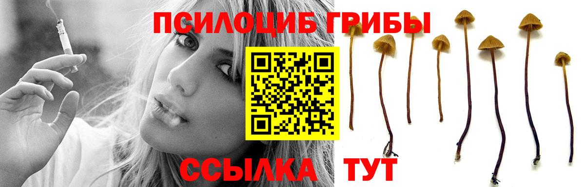 Галлюциногенные грибы Cubensis Канаш