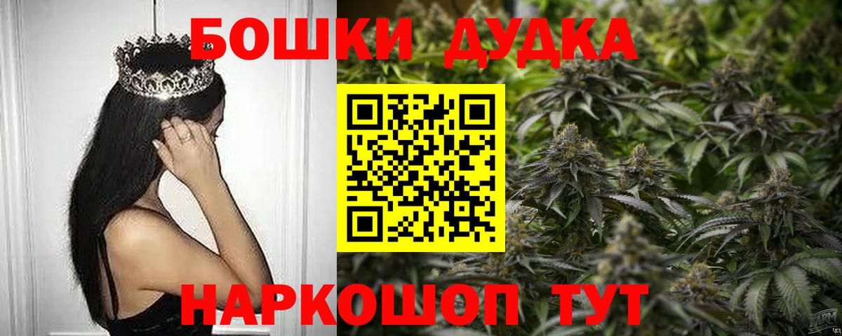 Бошки Шишки гибрид Канаш